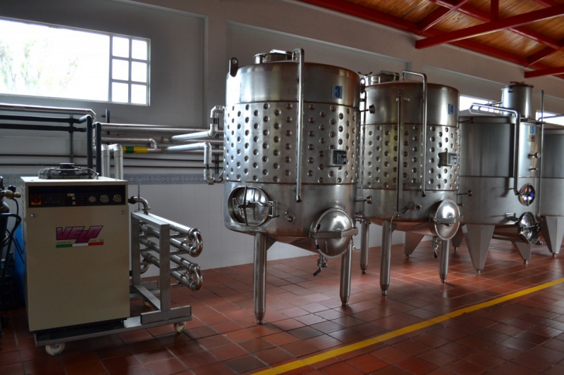 cave-GRASSE-min_wine_production_cantine_winery_drink_alcohol_vine_beverage-902036